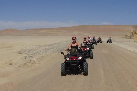From Paracas: Ballestas Islands Tour + ATV