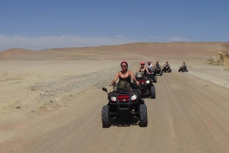 From Paracas: Ballestas Islands Tour + ATV