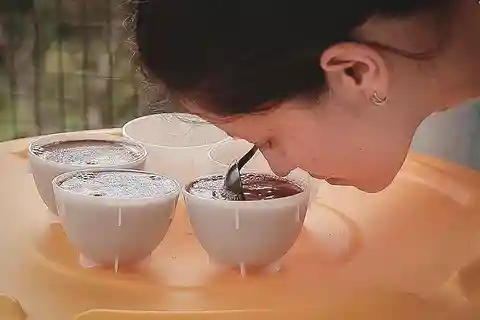Bogotá: Workshop de degustação de xícaras de café colombiano com curadoria de especialistas