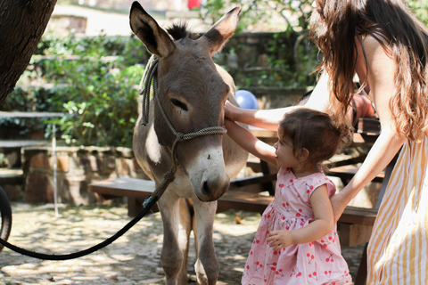 Paseos en burro para niños Experiencia