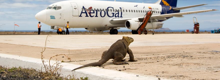 GPS Galapagos Transferts aéroport et visites des points forts