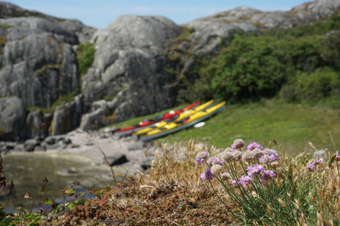 Orust: Kayak Rental 3 Hour Double Kayak