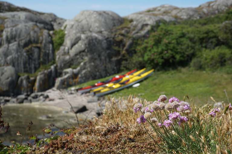 Orust: Kayak Rental 3 Hour Double Kayak
