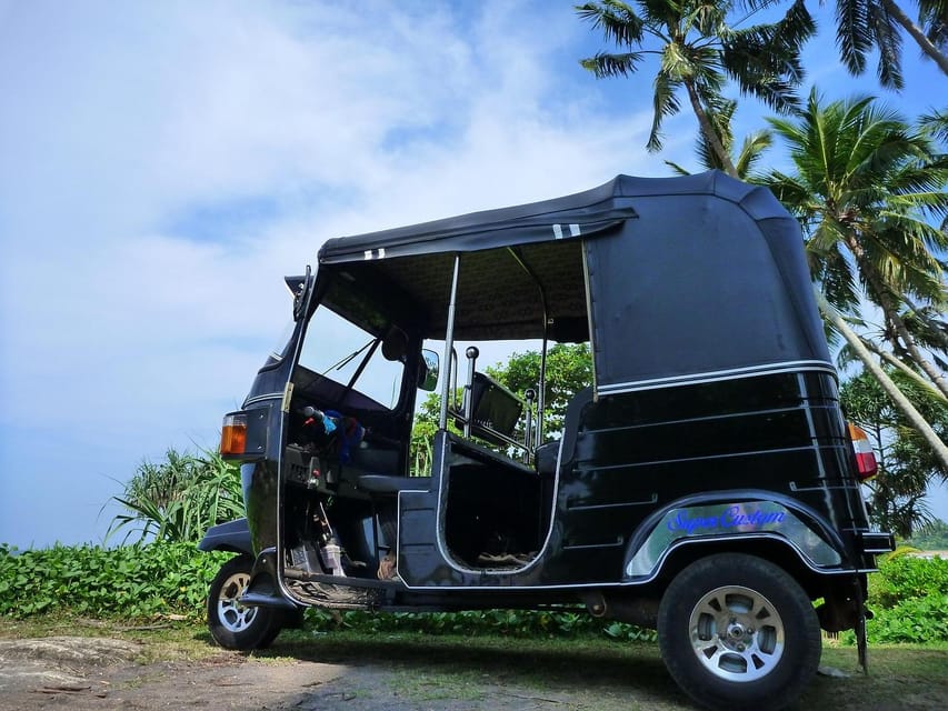 A black tuk-tuk parked on a grassy headland under coconut palms, the sea just visible beyond the greenery
