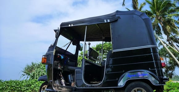 A black tuk-tuk parked on a grassy headland under coconut palms, the sea just visible beyond the greenery