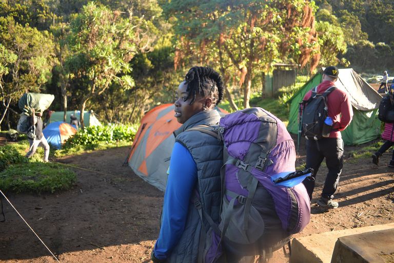 Meilleure excursion d&#039;une journée sur le mont Kilimandjaro via la route Machame