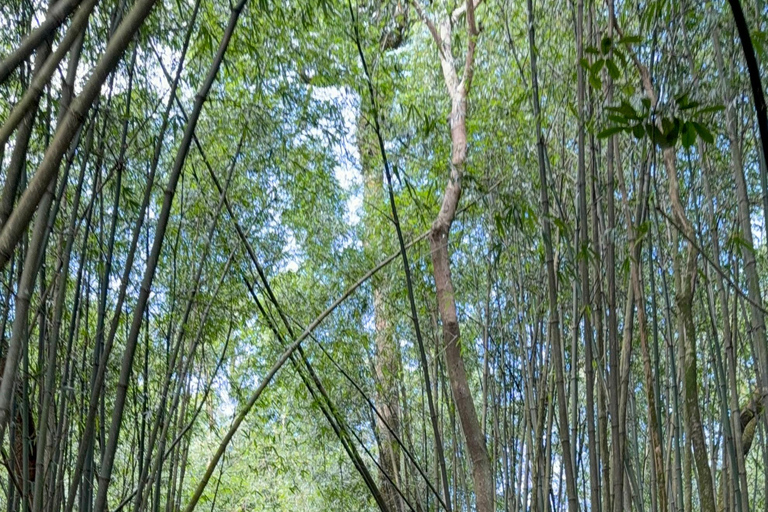 Tam Dao Private Day Tour With Misty Mountains, Cloud Views