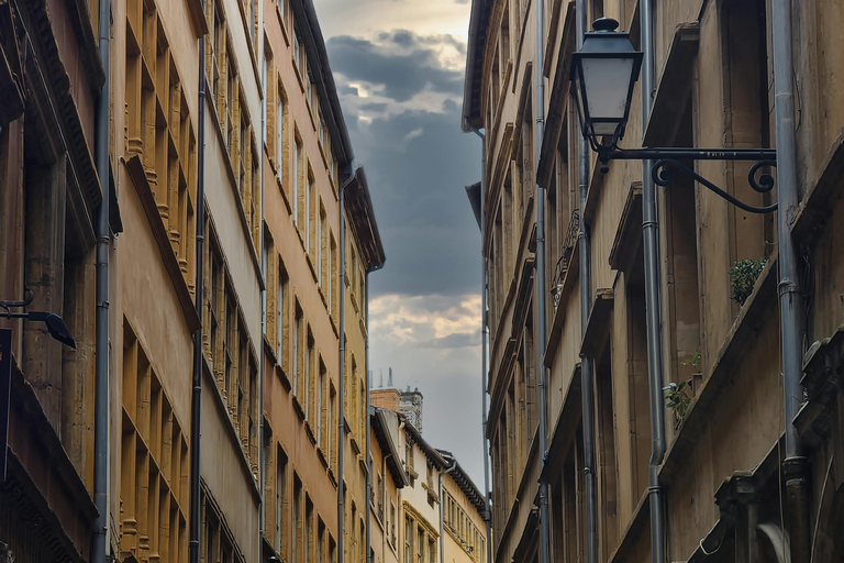 Lyon: Street Culture & Modern Lyon Private Walking Tour 2 Hour Private Walking Tour