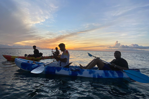 KajakmangroveturKajakpaddling i mangroveträsket