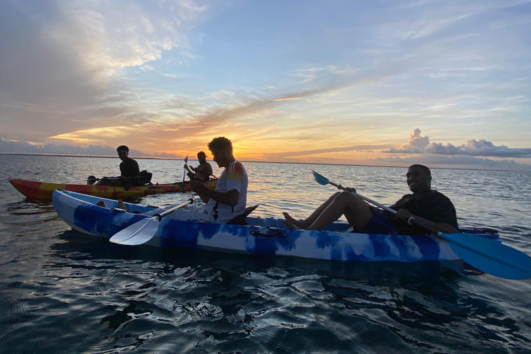 KajakmangroveturKajakpaddling i mangroveträsket