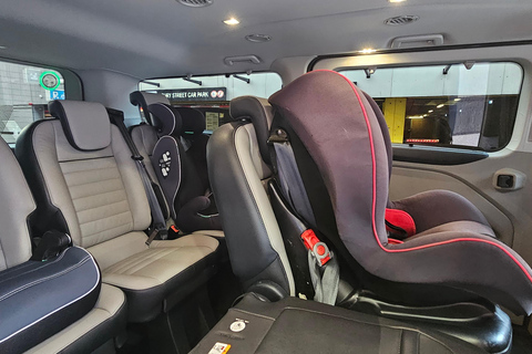 Dublin : Private Sightseeing Tour of Dublin City