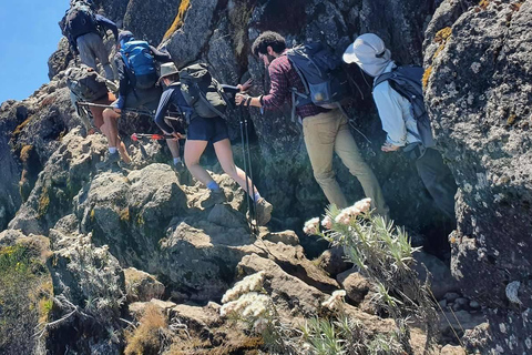 5 jours sur la route de Marangu - Treks abordables au Mont Kilimandjaro