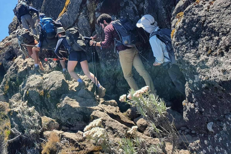 5 jours sur la route de Marangu - Treks abordables au Mont Kilimandjaro