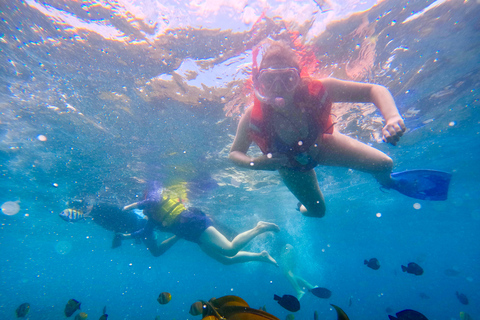 Från Bali: Nusa Penida Dagsutflykt och snorkling