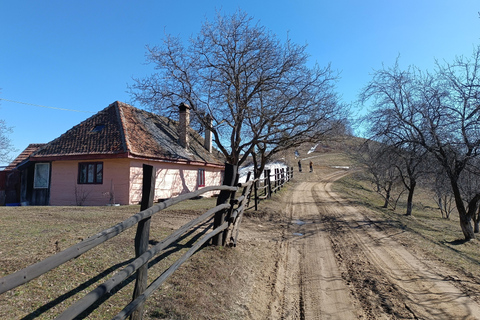 Brașov Transylvania: Guided Hike with Mountain Guide