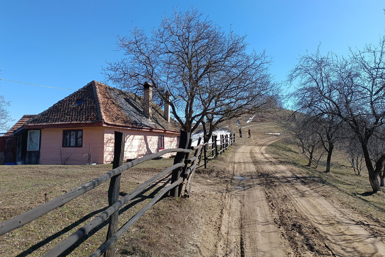 Brașov Transylvania: Guided Hike with Mountain Guide