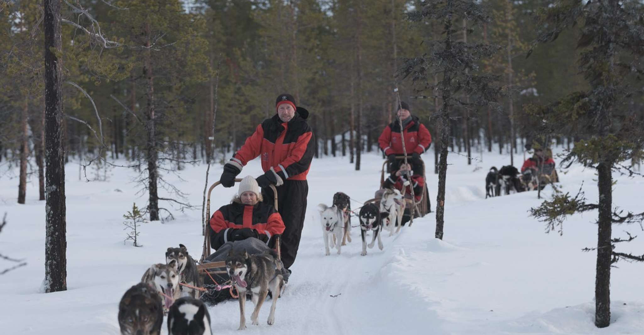 Levi Polar Lights Tours, Reindeer and Husky Safari - Housity