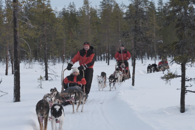 Levi : Randonnée en traîneau à rennes et balade en traîneau à huskies - circuit combinéDeux types de promenades en traîneau avec des huskies et des rennes