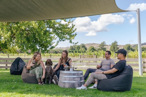 Desde Lyttelton: excursión en tierra con almuerzo degustación.Desde Lyttelton: excursión en tierra con almuerzo degustación