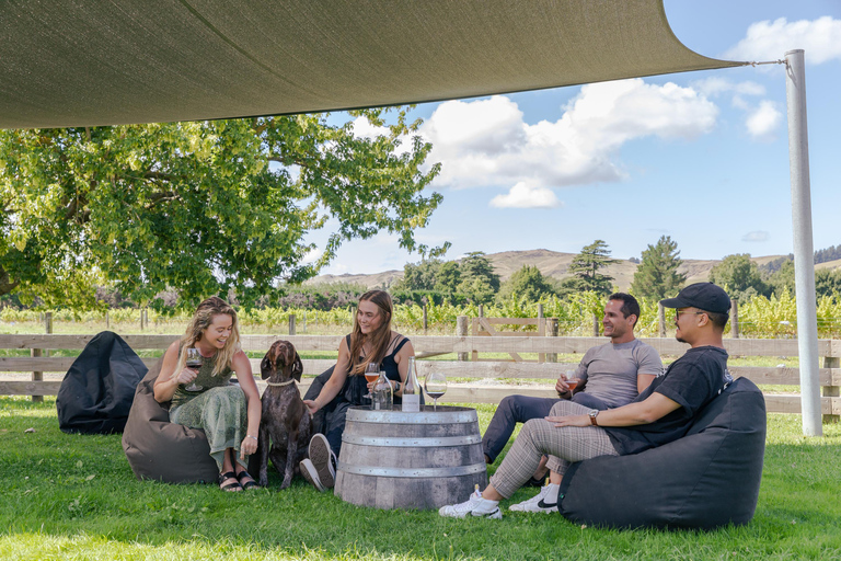 Desde Lyttelton: excursión en tierra con almuerzo degustación.Desde Lyttelton: excursión en tierra con almuerzo degustación