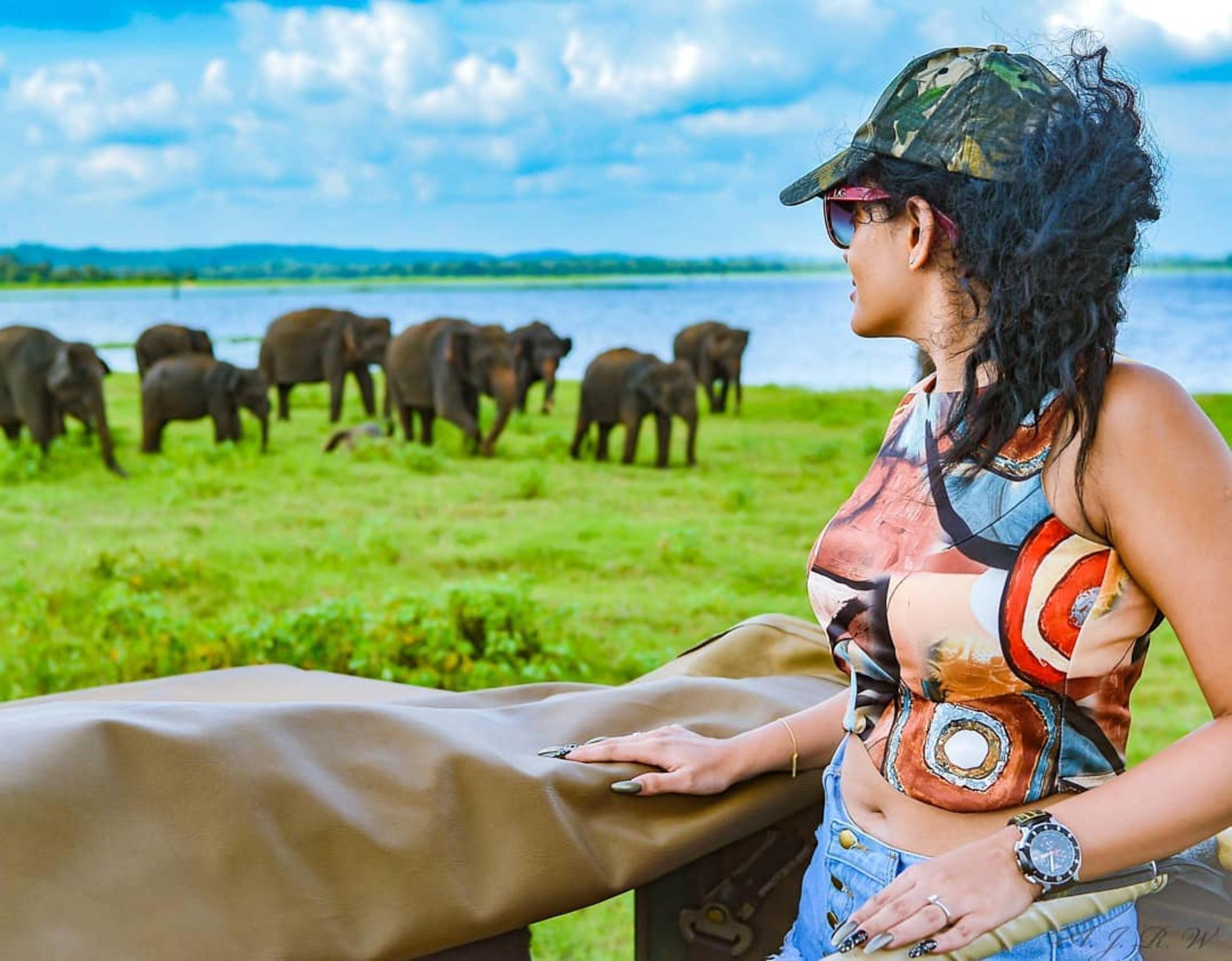 Kaudulla-Nationalpark: Halbtägige Safari mit erfahrenem Guide