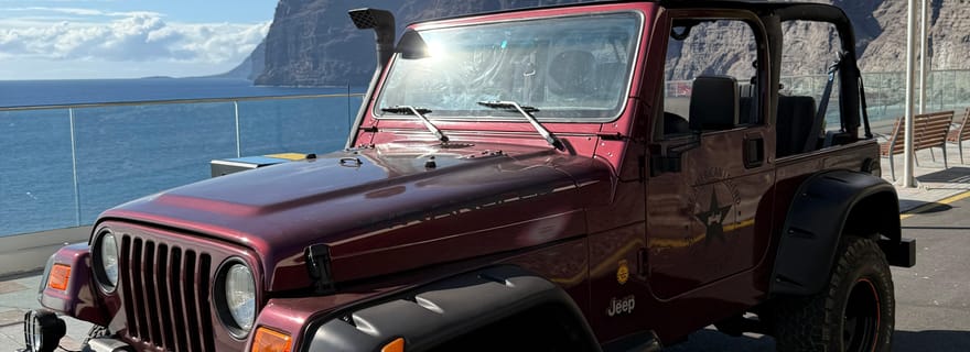 Tenerife : excursion côtière en Jeep Wrangler jusqu'à Los Gigantes et la côte sud