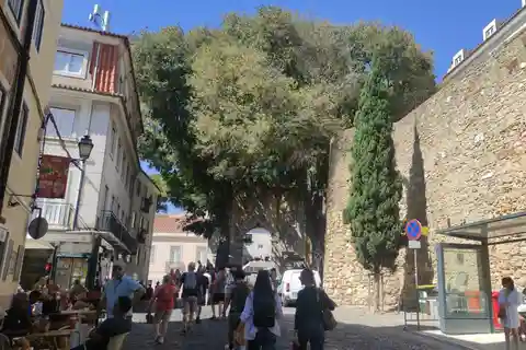 Tiket og guidet besøg på St. Jorge Castel