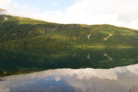 Abisko: Private Fjord Sightseeing and Photography tour