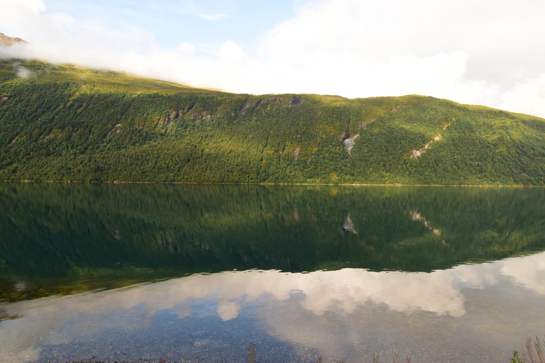 Abisko: Private Fjord Sightseeing and Photography tour
