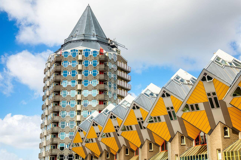 Private Day Trip: Rotterdam Architecture & Gouda Cheese Farm