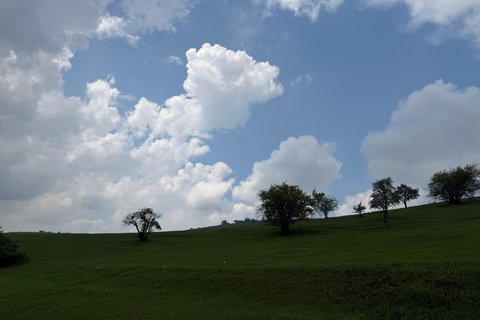 From Tashkent: Amirsoy, Chimgan & Charvak Mountain Day Trip For Local Visitors