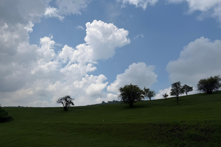 From Tashkent: Amirsoy, Chimgan & Charvak Mountain Day Trip For Local Visitors