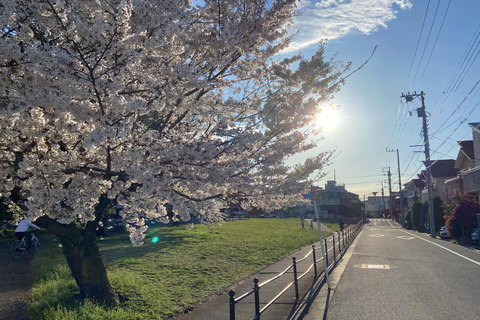 Tóquio: Explora a vida autêntica de um bairro residencial