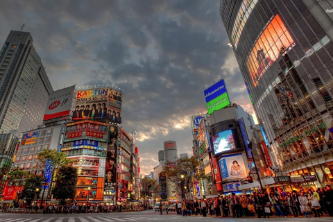 Conhece Shinjuku (vida nocturna opcional)