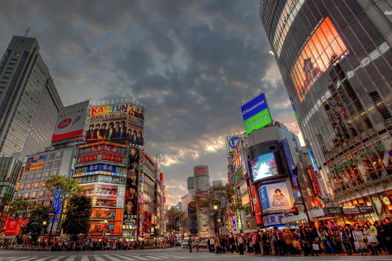 Leer Shinjuku kennen (nachtleven optioneel)