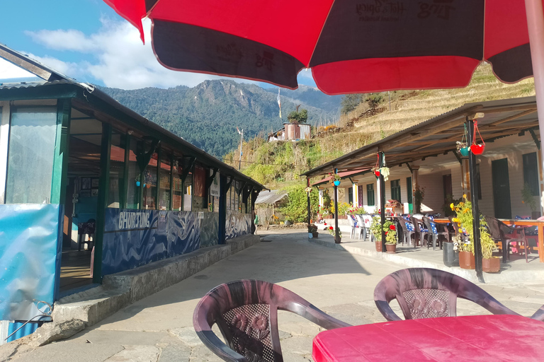 From Pokhara: A 7-Day Trek to the Heart of the Himalayas