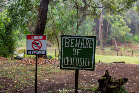 From Maputo: Eswatini Cultural and Nature Day Trip