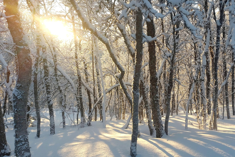 Tromsø Street to Wilderness: Guided Snowshoe Hike