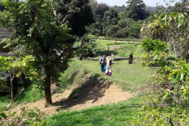 Kandy Top City Sights & Agro Tech Park Visit 4-Hours Tour Kandy Top City Sights visit -01