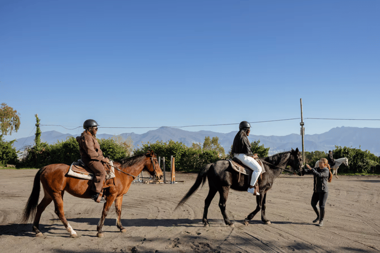 Passeio a cavalo no Monte VesúvioDe Pompéia: Passeio a cavalo pelo Monte Vesúvio
