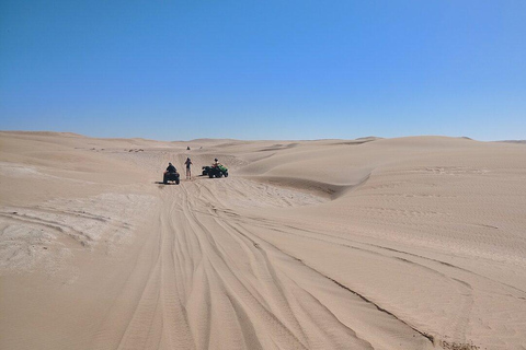 Agadir: Takate Quad Biking and Sandboarding Tour AGADIR : QUAD INDIVIDUEL + SANDBOARDING