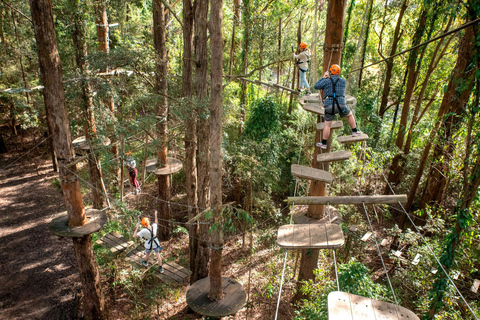 Pennant Hills: Boomtouwbaan sessie