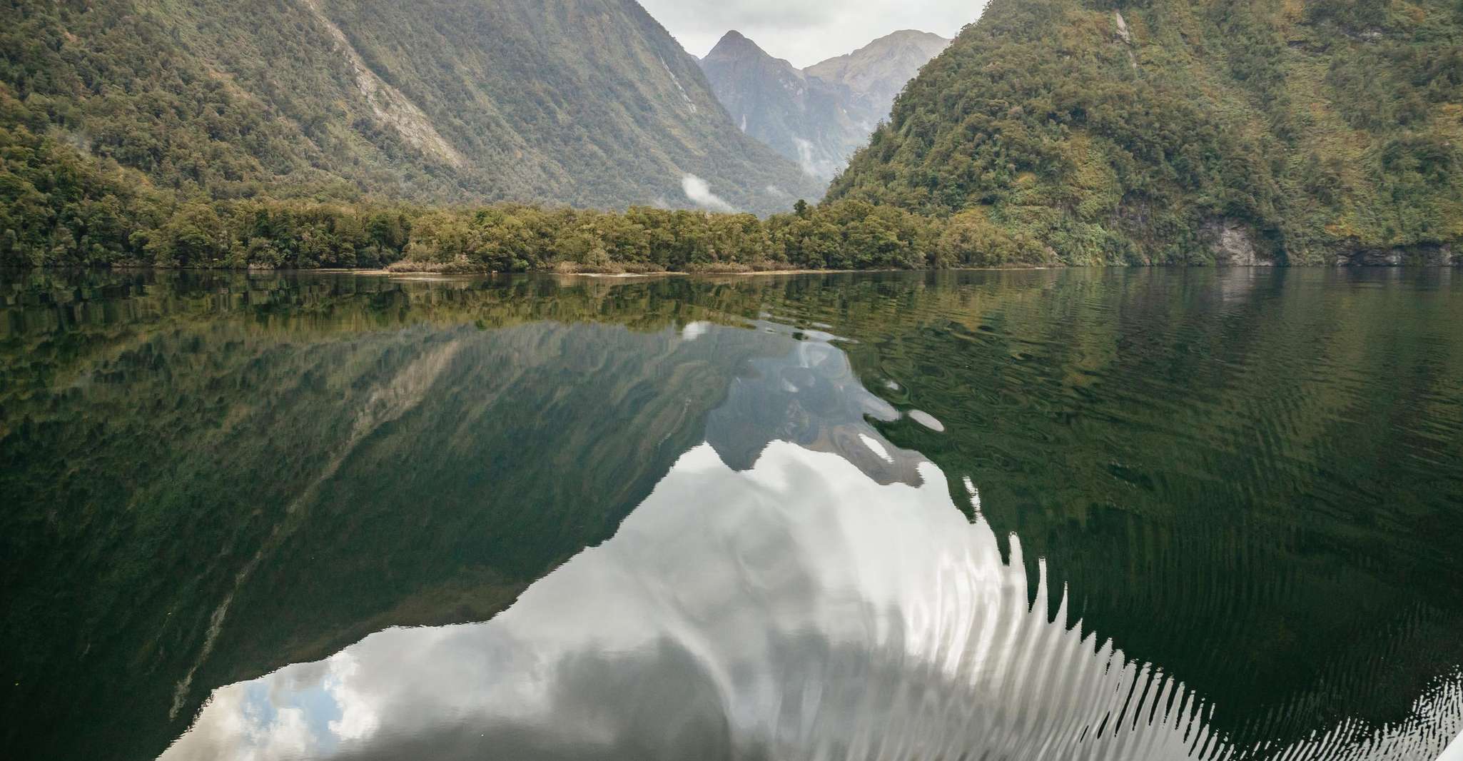 From Manapouri: Doubtful Sound Wilderness Day Trip photo 13