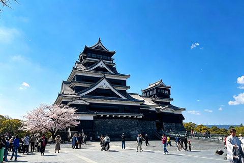 Fukuoka: Mt. Aso, Minamiasu Railway & Kumamoto Castle Tour