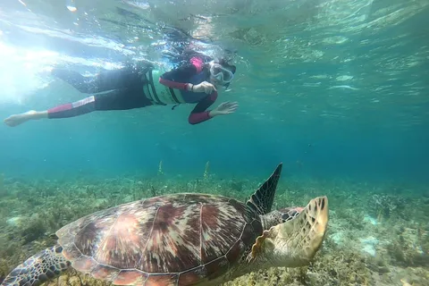 Cebu: Moalboal Sardine Run Snorkeling & Kawasan Canyon Tour