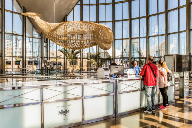 Valencia: ticket de entrada al OceanogràficNo Reembolsable: Entrada al Oceanogràfic