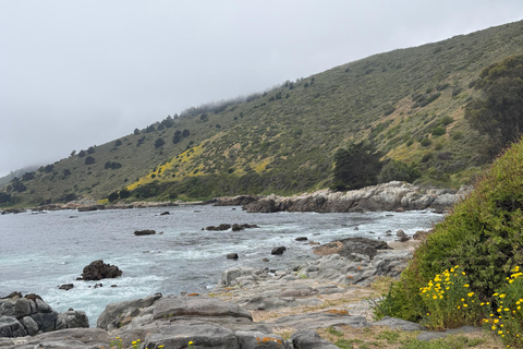From Santiago: Papudo Horseback Ride & Penguin Watching