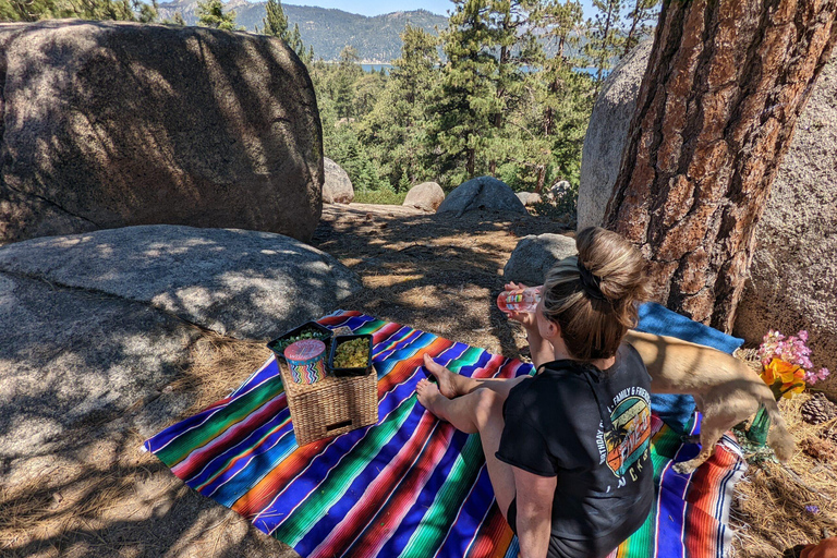 Big Bear Lake: Jeep Tour with Scenic Picnic Lunch