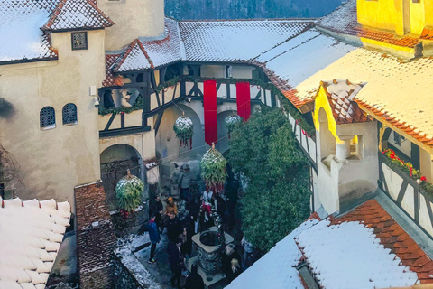 Brașov: Bear Sanctuary and Bran Castle With Tickets