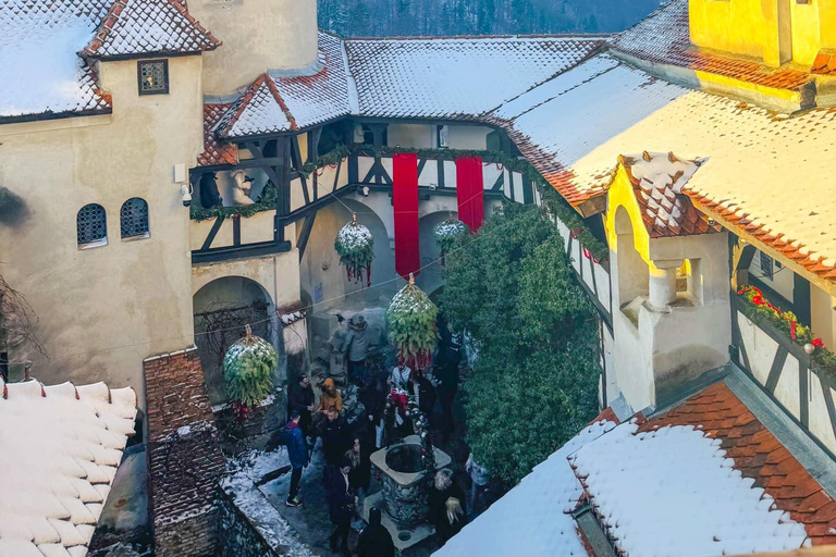 Brașov: Bear Sanctuary and Bran Castle With Tickets